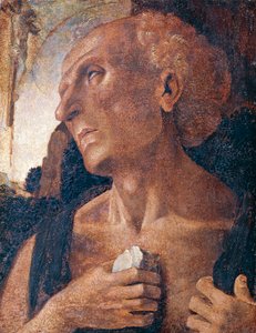 Aziz Jerome, Luca Signorelli