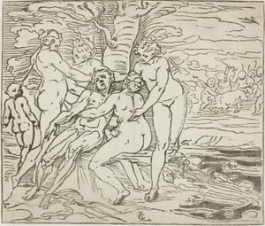 Venüs Adonis