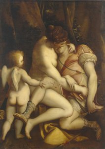 Venüs ve Adonis, 1565-1569