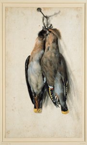 İki Ölü Bohem Ağda by Lucas Cranach the Elder