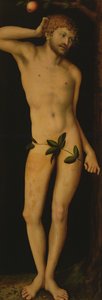Adem, 1528 by Lucas Cranach the Elder