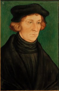 Bir Bilim Adamının Portresi (Otto Brunfels) by Lucas Cranach the Elder