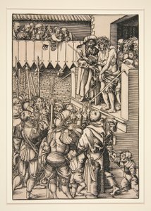 adama bak by Lucas Cranach the Elder