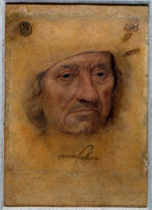 Doktor Petrus von Clapis