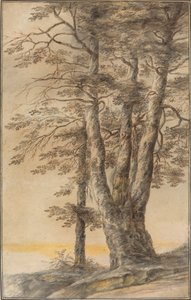 Ağaçların Çalışması by Lucas van Uden