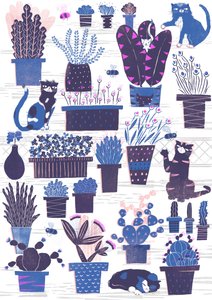  by Lucy Banaji