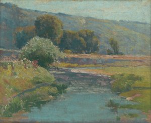 Su basmış bir dere ile manzara