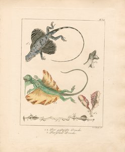  by Ludwig Christoph Tyroff
