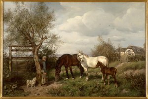 L.Fay, ülkede by Ludwig Fay