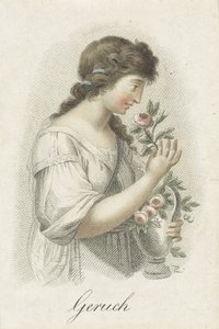 Koku Söylenti (nesne üzerindeki başlık) Kadın figürleriyle temsil edilen beş duyu (dizi adı) Die Funf Sinne (dizi adı) by Ludwig Gottlieb Portman