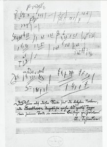 Alman besteci Ludwig van Beethoven (1770-1827) tarafından yazılan müziğin son sayfası