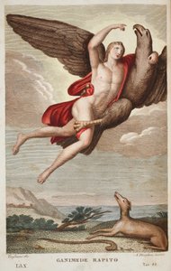 Ganymede Cennete veya Ganimede Rapito, Kitap X, Ovid