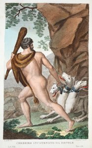 Herkül ve Cerberus veya Cerbero Incatenato da Ercole, Kitap VII, Ovid