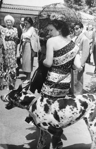 Danua cinsi köpeği olan bir bayan portresi by Luigi Leoni