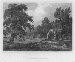 Newminster Abbey, Northumberland (gravür)