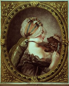Louis Marin Bonnet (1743-93) tarafından kazınmış olan Provoking Fidelity by M.A. (after) Parelle