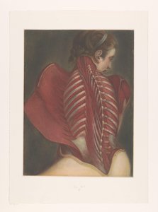 Sırtın anatomik temsili by M.D. Duplain