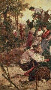 Üzüm Hasadı by M.F. Moles