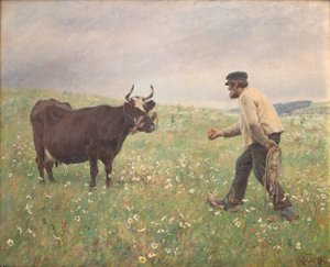 Bir inek gevşek by M. Therkildsen