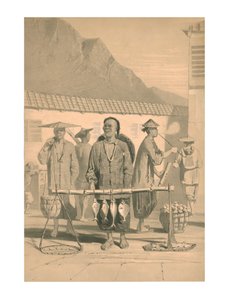 19. yüzyıl Hong Kong