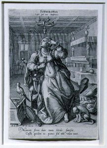Sophronia, 