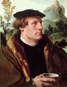 Bir Beyefendinin Portresi by Maerten van Heemskerck
