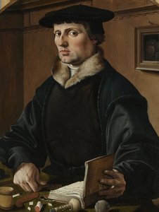 Bir adamın portresi, muhtemelen Pieter Gerritsz Bicker, 1529