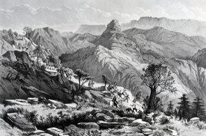 Dongolo yakınlarındaki yürüyüşte, James Ferguson tarafından kazınmış, 1868 by Major A.G.F. Hogg