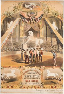 Harika ve Güzel Eğitilmiş At Excelsior, c.1840 (chromolitho)