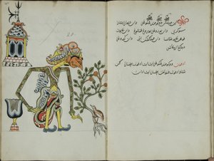 Zerdeçal Java, MS 41 s. 40, günümüzde 20, 1830 by Malay Malay