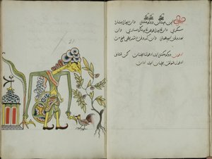 Zerdeçal Java, MS 41 s. 42, Resim 21, 1830 by Malay Malay