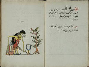 Zerdeçal Java, MS 41 s. 54, Resim 27, 1830 by Malay Malay