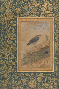 Dalış Kepçesi ve Diğer Kuşlar, Shah Jahan Albümünden Folio, recto: yakl. 1610-15.