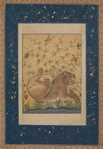 Dinlenmedeki Aslan, ca. 1585.