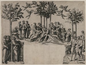 Parnassus