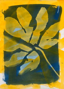  by Marco Campedelli
