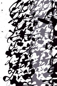  by Marco Campedelli
