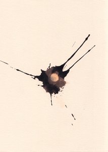  by Marco Campedelli
