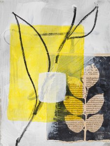  by Marco Campedelli