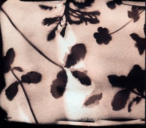  by Marco Campedelli
