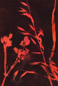  by Marco Campedelli