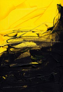  by Marco Campedelli