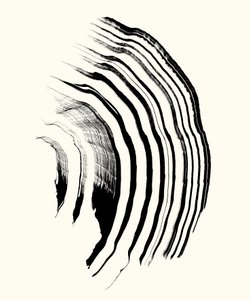  by Marco Campedelli