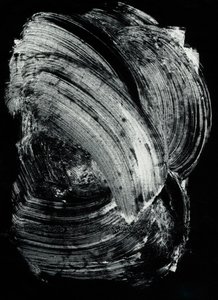  by Marco Campedelli