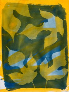  by Marco Campedelli