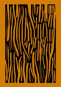  by Marco Campedelli