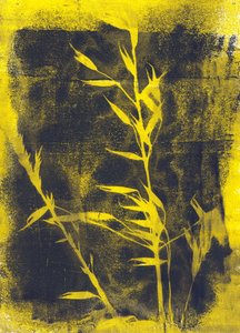  by Marco Campedelli