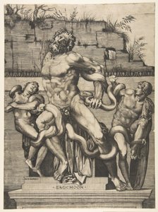 Laocoön ve oğulları yılanlar tarafından saldırıya uğradı, yaklaşık. 1515-27.