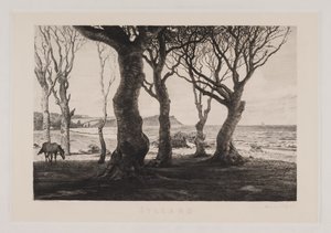 Yahudi manzarası by Marcus Bech Fritz