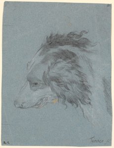 Bir köpeğin kafası by Marcus Tuscher